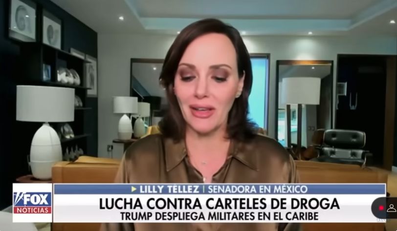 Miniatura de Sheinbaum protege a los Narcos: Lily Tellez