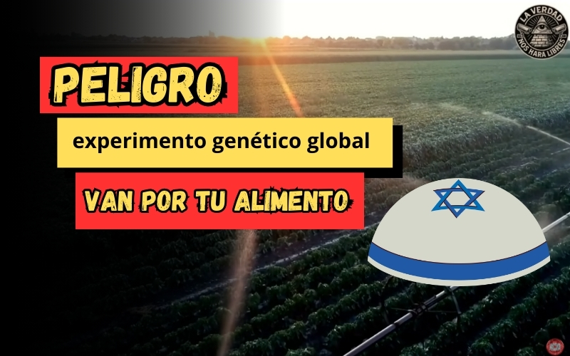 Miniatura de PLANEAN ROCIAR ARN EN LA COMIDA El próximo experimento genético global